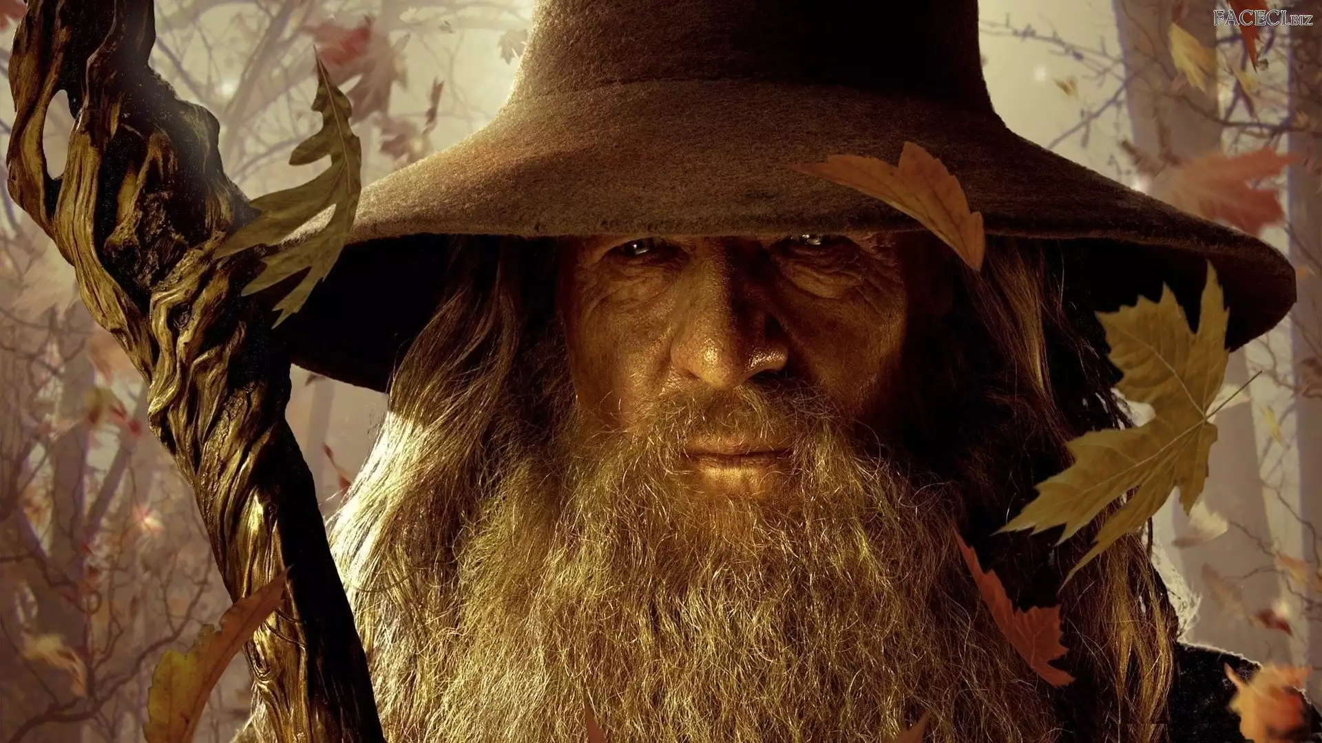 Liście, Ian McKellen, Gandalf